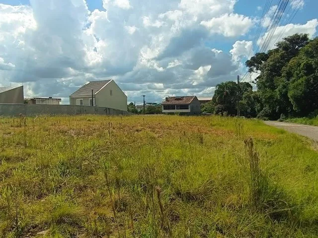 Imagem 8: Terreno Urbano Residencial Nº 04- Bom Jesus!!