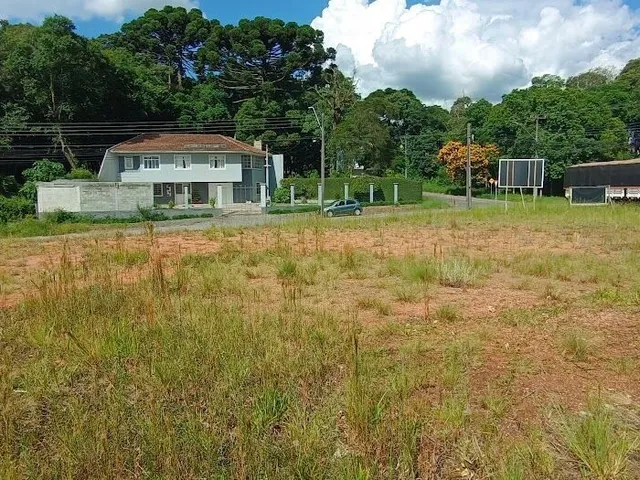 Imagem 7: Terreno Urbano Residencial Nº 04- Bom Jesus!!