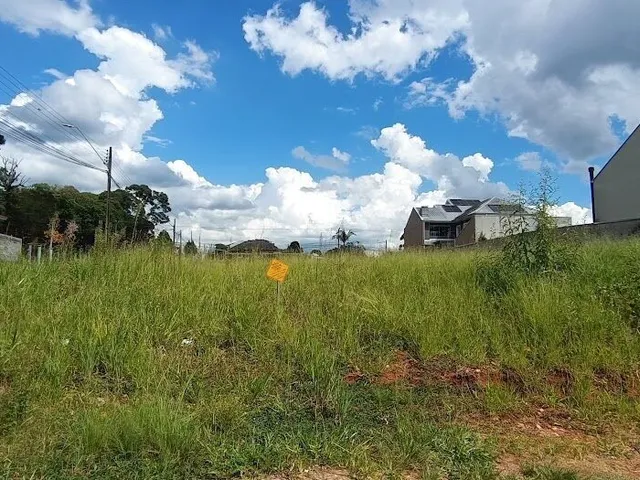 Imagem 13: Terreno Urbano Residencial Nº 04- Bom Jesus!!