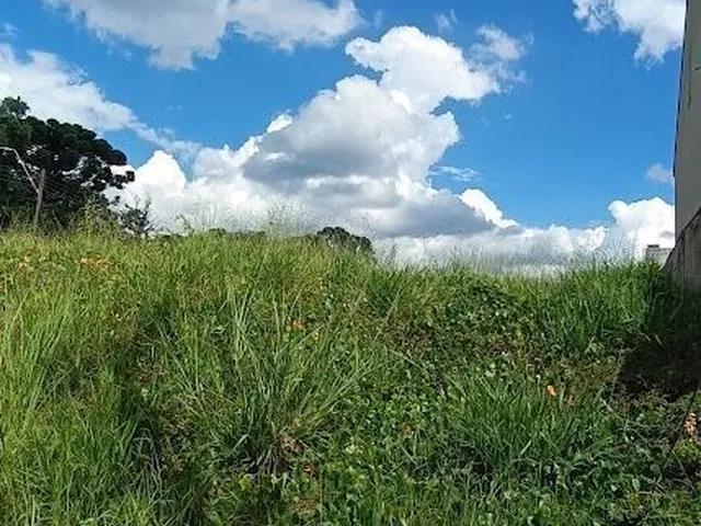 Imagem 4: Terreno Urbano Residencial Nº 04- Bom Jesus!!