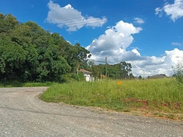 Imagem 11: Terreno Urbano Residencial Nº 04- Bom Jesus!!