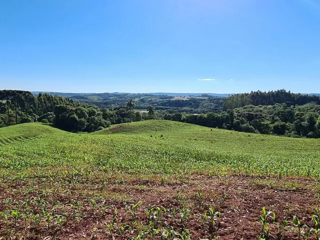 Imagem: Área 08 - Chácara - Área P Chácara!