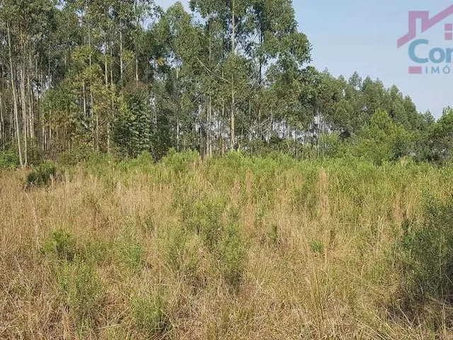 Imagem 8: Área Rural para Formar Chácara