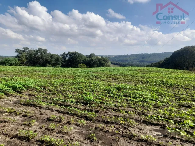 Imagem: Área Rural 5,00 Alqueires - Lagoão!