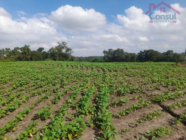 Imagem 12: Área Rural 5,00 Alqueires - Lagoão!