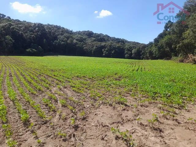 Imagem 16: Área Rural 5,00 Alqueires - Lagoão!