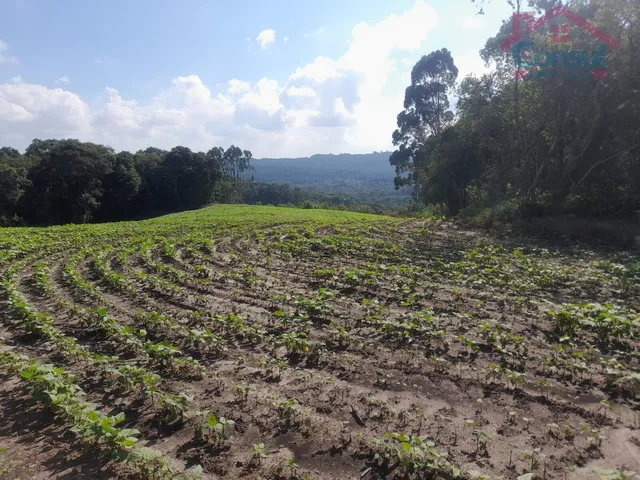 Imagem 7: Área Rural 5,00 Alqueires - Lagoão!