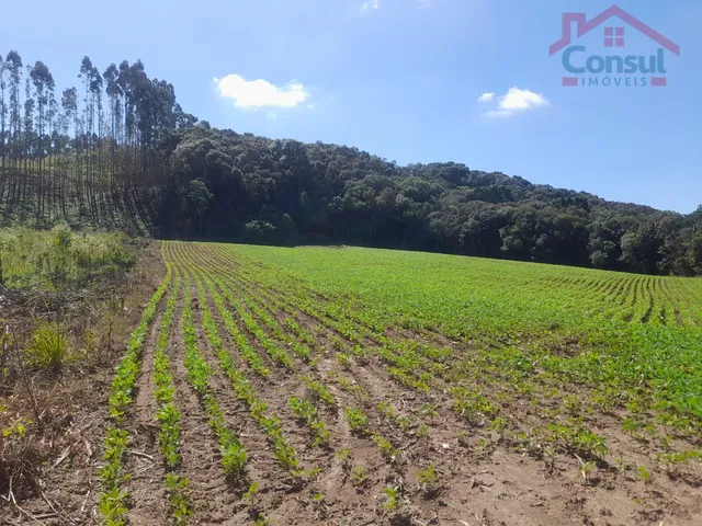 Imagem 6: Área Rural 5,00 Alqueires - Lagoão!
