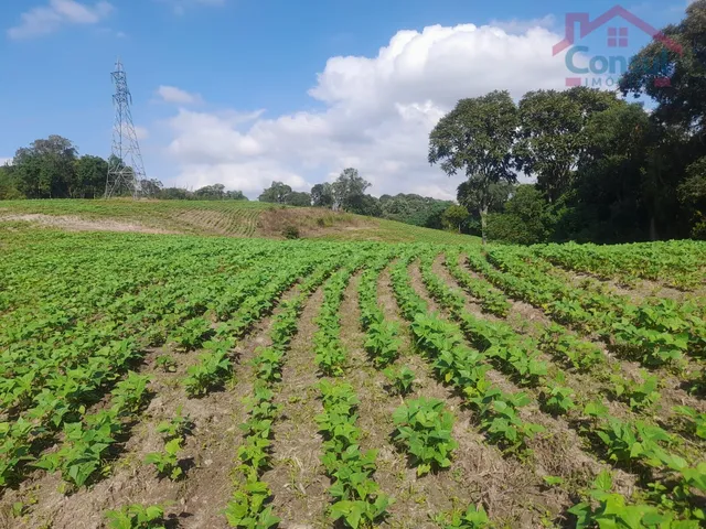Imagem 15: Área Rural 5,00 Alqueires - Lagoão!