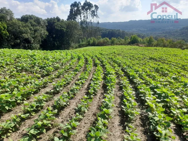 Imagem 4: Área Rural 5,00 Alqueires - Lagoão!