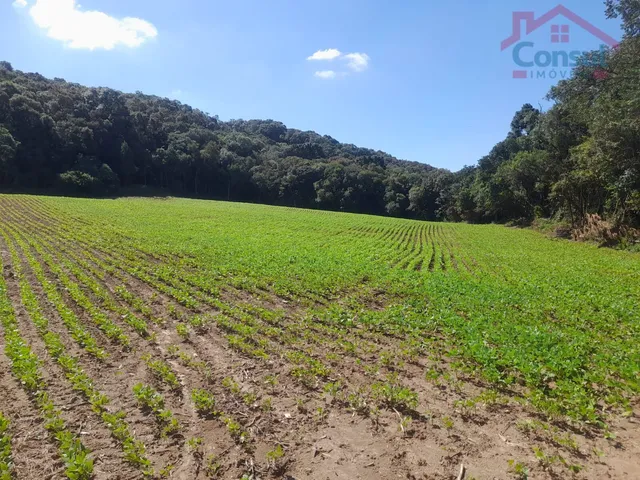 Imagem 2: Área Rural 5,00 Alqueires - Lagoão!