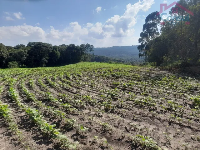 Imagem 11: Área Rural 5,00 Alqueires - Lagoão!