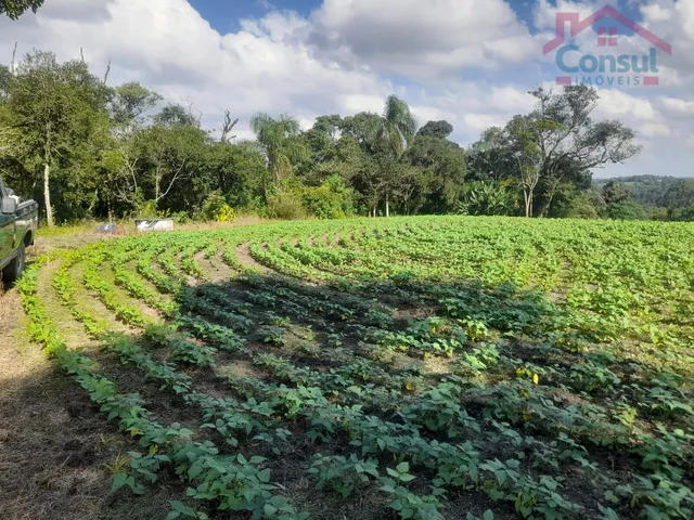 Imagem 13: Área Rural 5,00 Alqueires - Lagoão!