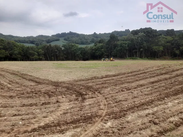 Imagem 8: Área Rural 5,00 Alqueires - Lagoão!