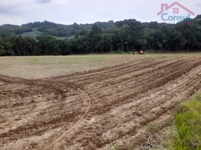 Imagem 5: Área Rural 5,00 Alqueires - Lagoão!