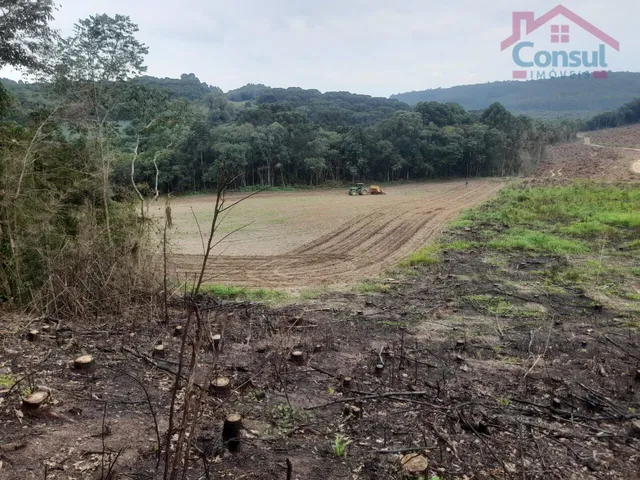 Imagem 14: Área Rural 5,00 Alqueires - Lagoão!