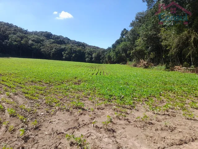 Imagem 9: Área Rural 5,00 Alqueires - Lagoão!
