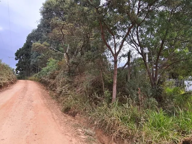Imagem: Área Rural em Jardim Florestal, Campo Largo/PR