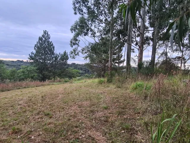 Imagem 2: Área Rural em Jardim Florestal, Campo Largo/Pr