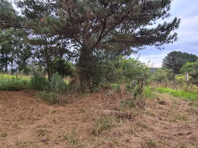 Imagem 5: Área Rural em Jardim Florestal, Campo Largo/Pr