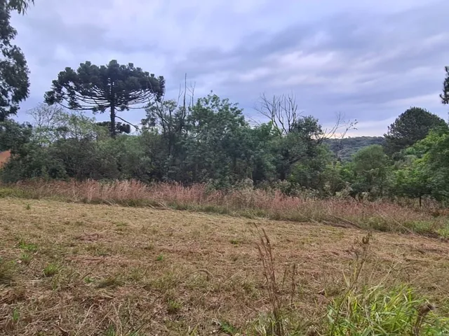Imagem 4: Área Rural em Jardim Florestal, Campo Largo/Pr