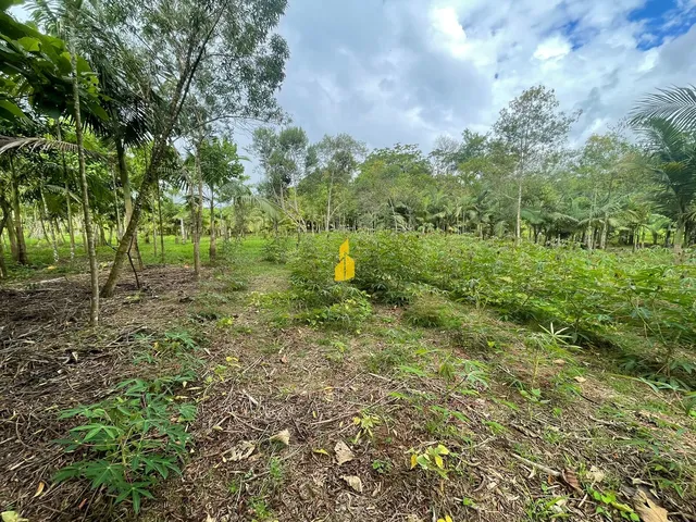 Imagem 7: Sitio Dentro da Cidade