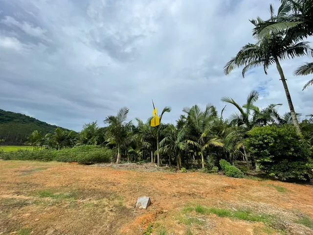 Imagem 8: Sitio Dentro da Cidade