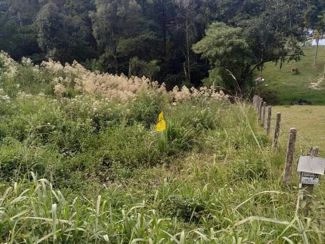 Imagem 3: Terreno na Barragem em Alto Palmeiras