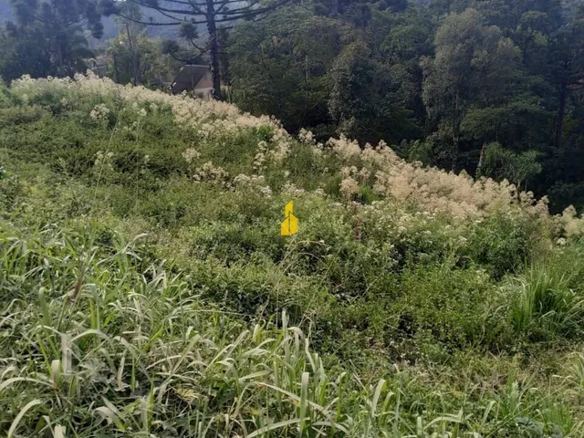 Imagem 2: Terreno na Barragem em Alto Palmeiras