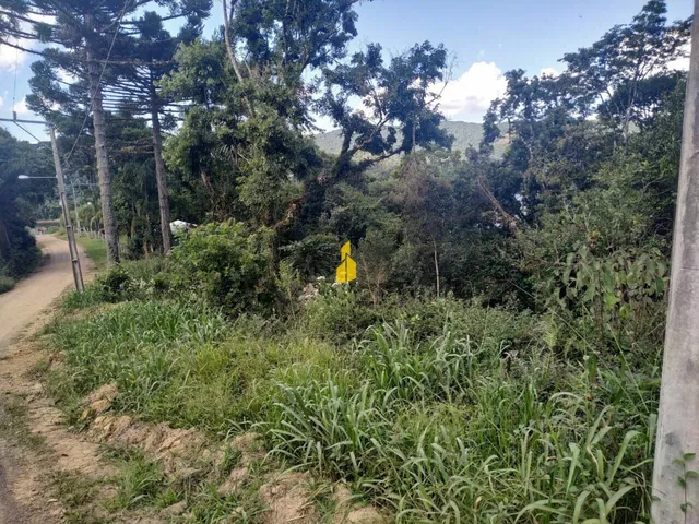 Imagem 4: Terreno na Barragem em Alto Palmeiras