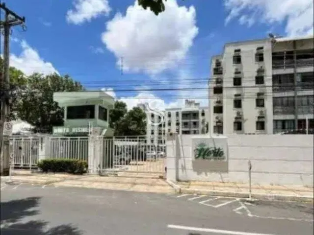 Imagem 10: Apartamento em Horto, Teresina/Pi