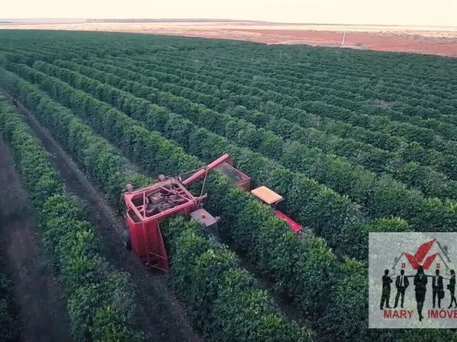 Imagem: Fazenda À Venda no Bairro Centro - Buritizeiro/Mg