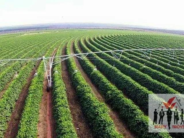 Imagem 7: Fazenda À Venda no Bairro Centro - Buritizeiro/Mg