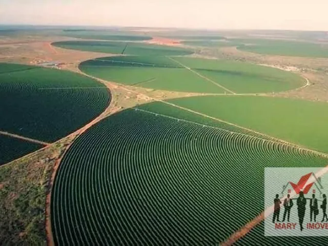 Imagem 13: Fazenda À Venda no Bairro Centro - Buritizeiro/Mg