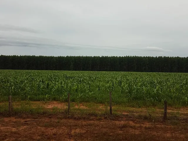 Imagem 2: Fazenda À Venda no Bairro Centro - Buritizeiro/Mg
