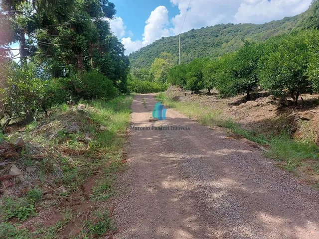 Imagem 6: Área À Venda no Bairro Linha Tiradentes - Veranópolis/Rs
