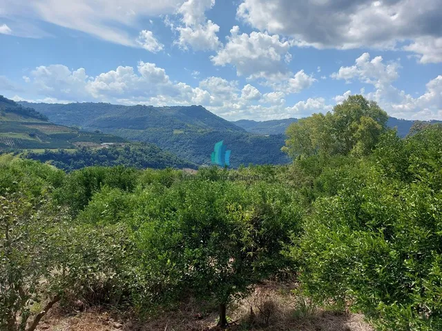 Imagem 2: Área À Venda no Bairro Linha Tiradentes - Veranópolis/Rs
