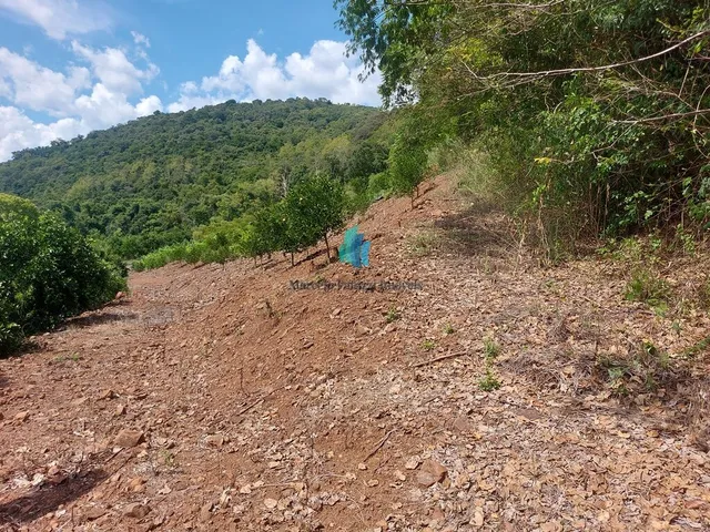 Imagem 16: Área À Venda no Bairro Linha Tiradentes - Veranópolis/Rs