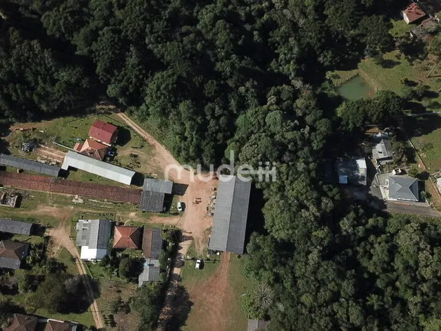 Imagem 3: Excelente Área Fazenda / sítio com 2 dormitórios