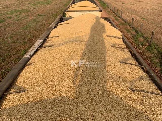 Imagem: Fazenda Município de Talismã - Tocantins