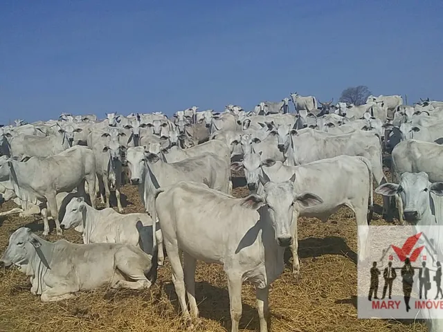 Imagem: Fazenda À Venda no Bairro Centro - Montes