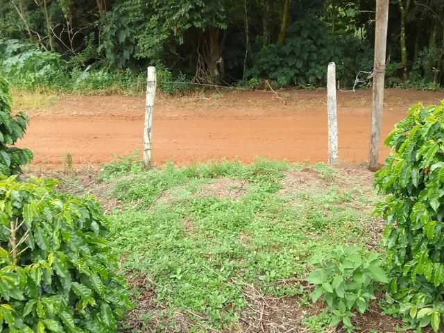 Imagem 7: Sítio À Venda no Bairro Centro - Caldas/Mg