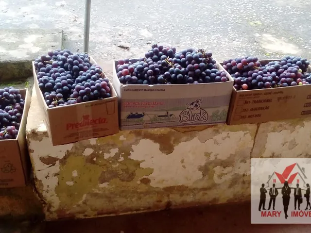 Imagem 8: Chácara À Venda em Bandeira do Sul/Mg