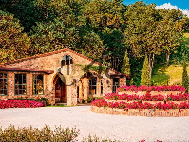 Imagem 11: Borgo del Vino - Borgo del Vino Gran Reserva - Lançamento de Lotes em Areal - Financio em 84 Vezes