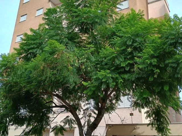 Imagem: Life - Apartamento a Venda em Tatuí Sp
