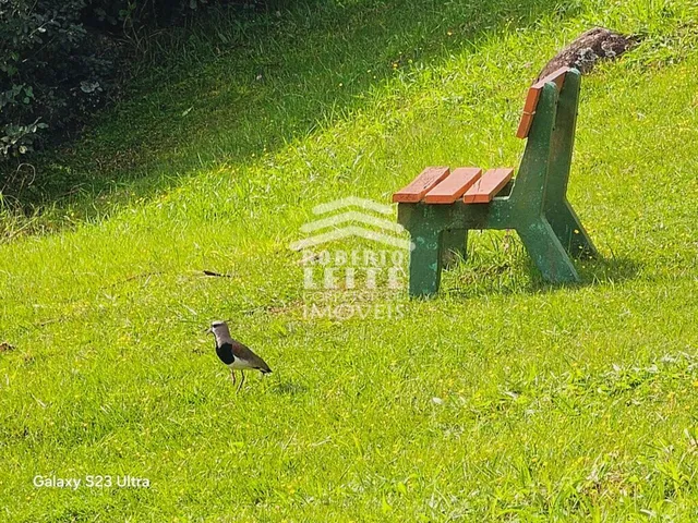 Imagem 15: Residencial Verdes Campos - Terreno em Condomínio para Venda em Protásio Alves Porto