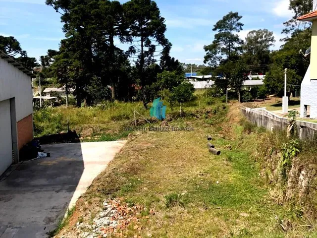 Imagem 2: Terreno À Venda no Bairro Alfândega - Garibaldi/Rs