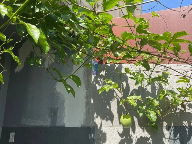 Imagem 4: Apartamento À Venda no Bairro São Vicente - Itajaí/Sc