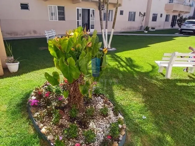 Imagem 3: Apartamento Completo À Venda no Bairro São Judas!