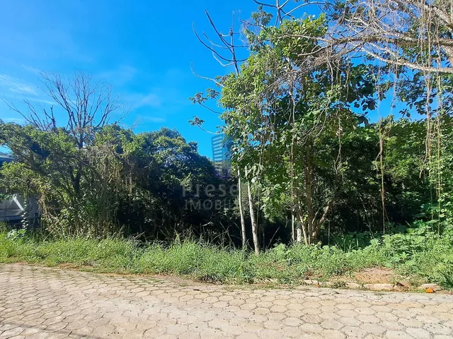 Imagem 3: Terreno no Bairro Cabeçudas